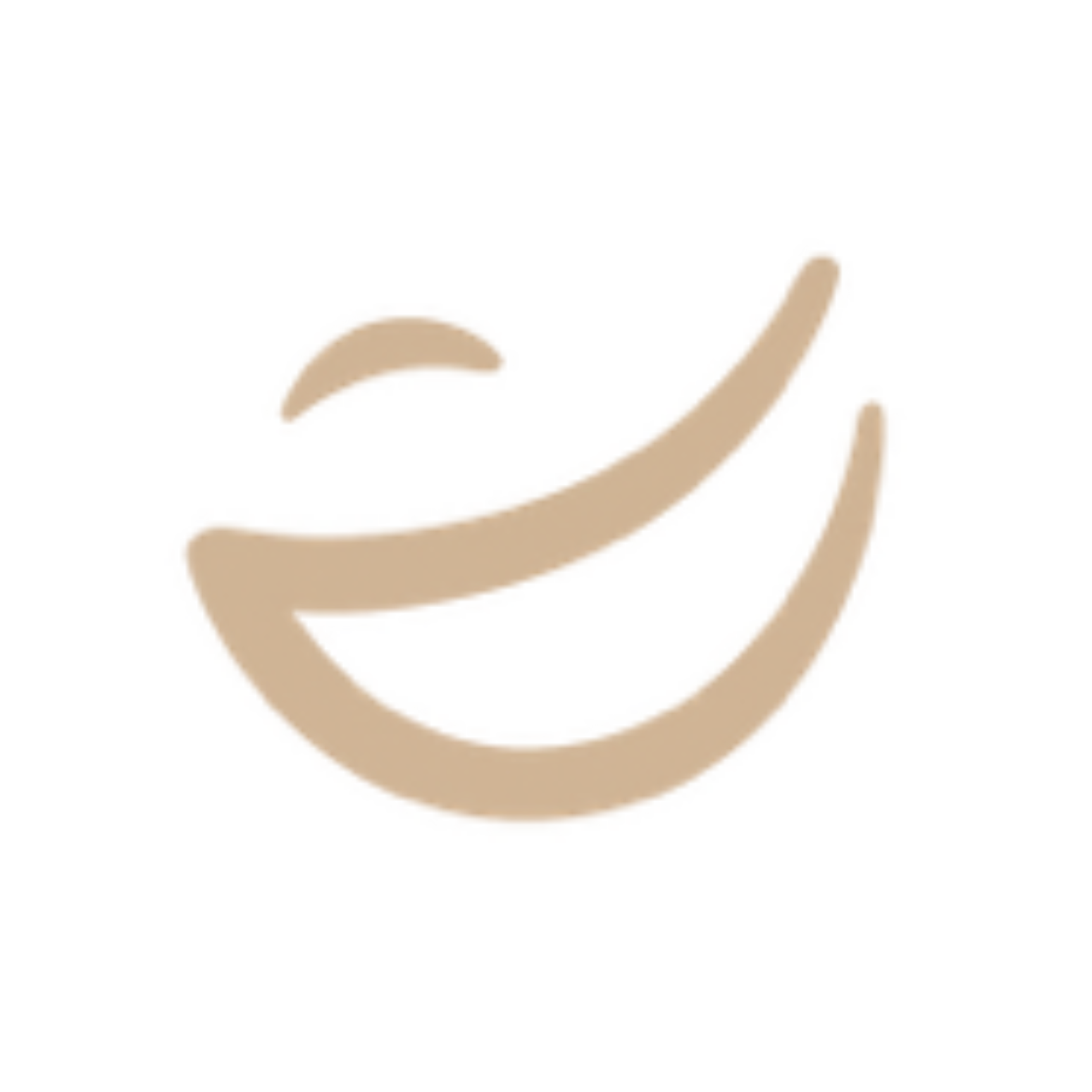 Smile Property Icon